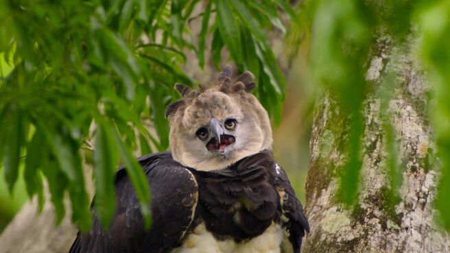 The Americas season 1 episode 4 on Discovery Plus