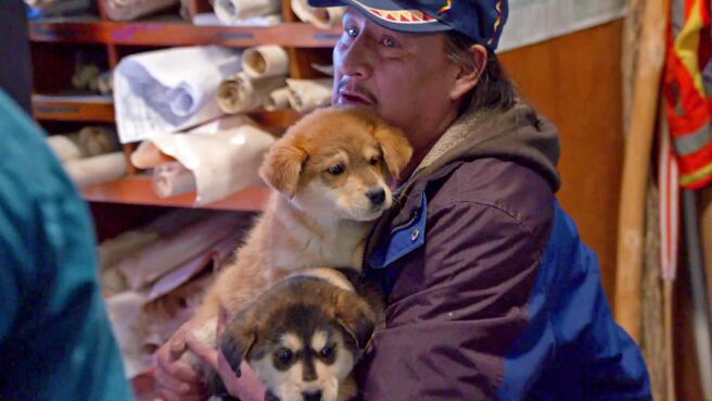 Dr. Jeff: Rocky Mountain Vet season 2 episode 10 on DiscoveryPlus
