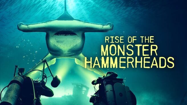 Rise of the Monster Hammerheads season 1 episode 1 on Discovery Plus