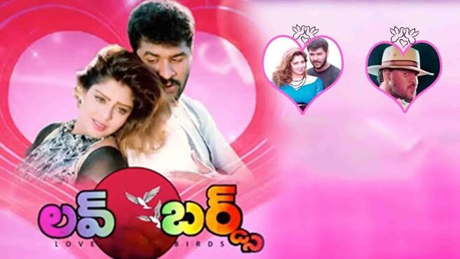 Love Birds on Sun NXT