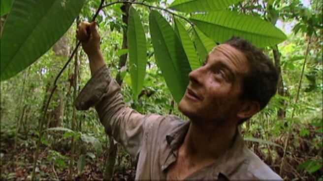 Man vs. Wild season 1 episode 3 on Discovery Plus