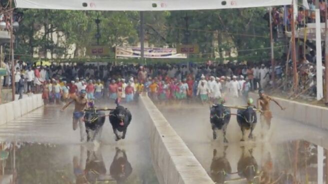 Kambala: Racing the Bulls season 1 episode 1 on Discovery Plus