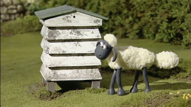 Shaun The Sheep season 1 episode 8 on Discovery Plus