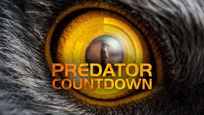 Predator Countdown on Discovery Plus