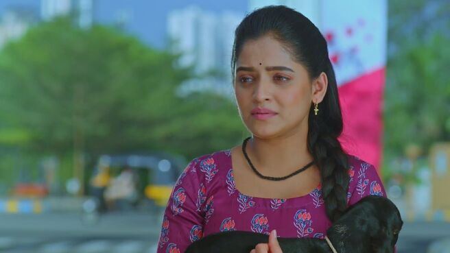 Paaru season 1 episode 7 on Zee5