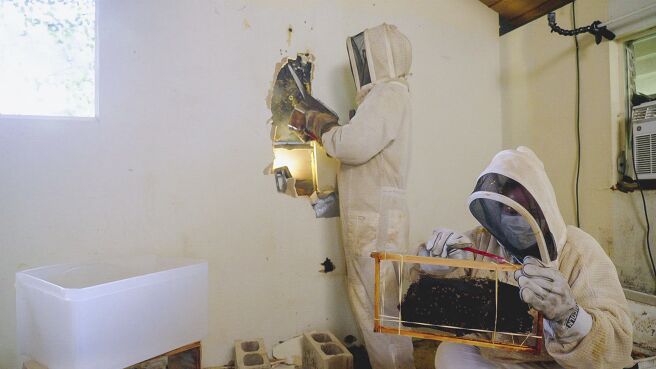 Renovation Aloha season 1 episode 4 on Discovery Plus