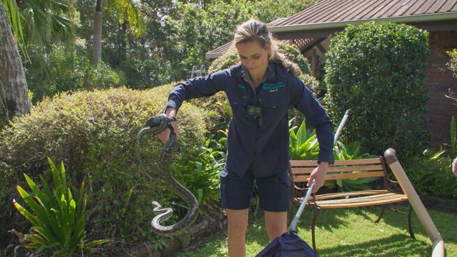 Aussie Snake Wranglers season 3 episode 1 on Discovery Plus