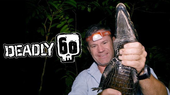 Deadly 60 on Sony LIV