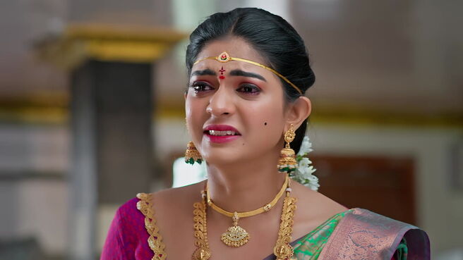 Smart Play - Nindu Noorella Saavasam season 1 episode 25 on Zee5