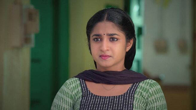 Chinnan Siru Kiliye season 1 episode 3 on Zee5