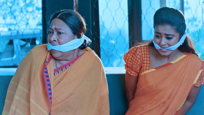 Deergha Sumangali Bhava season 1 episode 17 on Zee5