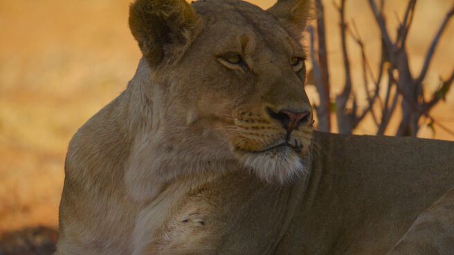 Pride Rules season 1 episode 4 on Discovery Plus