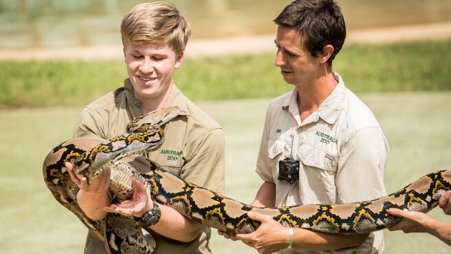 Crikey! It's the Irwins season 2 episode 2 on Discovery Plus