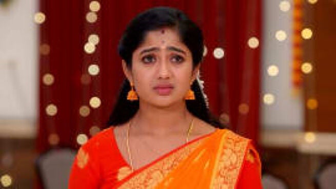 Meenakshi Ponnunga season 1 episode 240 on Zee5