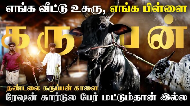 Jallikattu 2025 season 1 episode 2 on Zee5