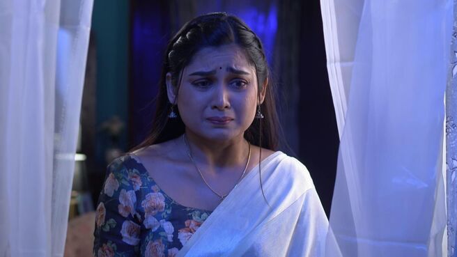 Shree season 1 episode 21 on Zee5