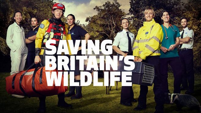 Saving Britain's Wildlife on Discovery Plus
