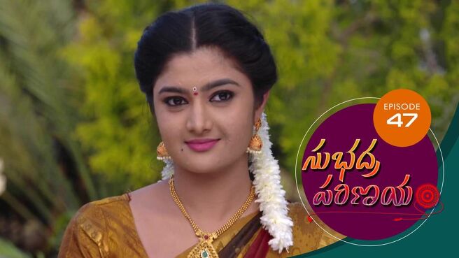 Subhadra Parinayam season 1 episode 47 on Sun NXT