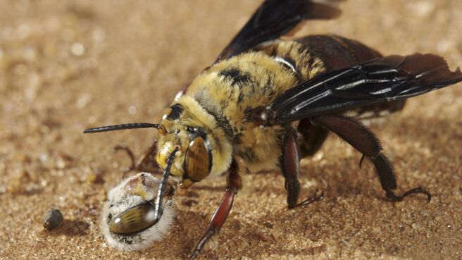 Life season 1 episode 6 on Discovery Plus