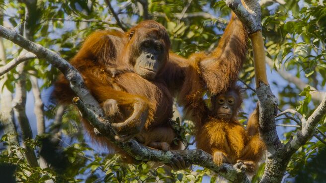 Parenthood season 1 episode 5 on Discovery Plus