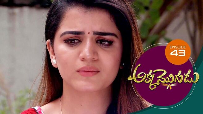 Akka Mogudu season 1 episode 43 on Sun NXT