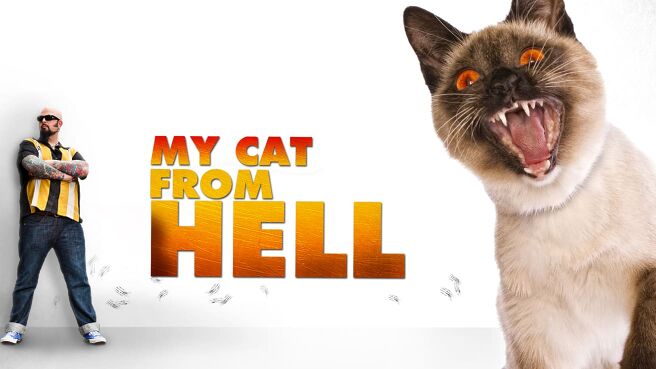 My Cat From Hell on Discovery Plus