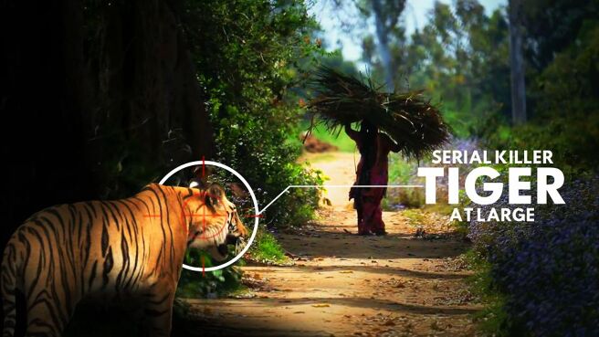 Serial Killer Tiger At Large on Discovery Plus