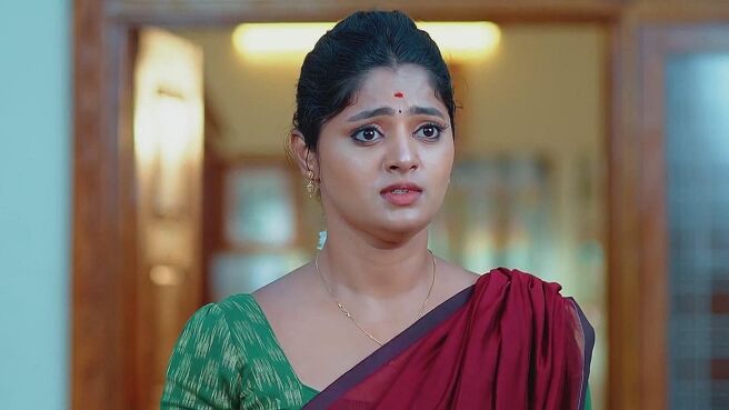 Janaki Ramayya Gari Manavaralu season 1 episode 28 on Zee5