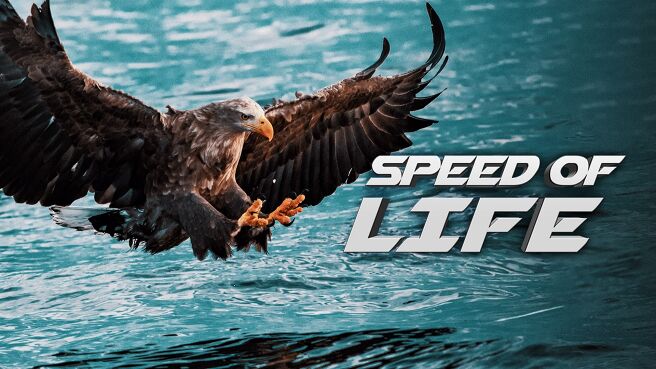 Speed of Life on Discovery Plus