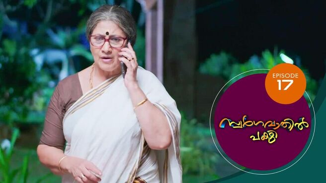 Swargavathil Pakshi season 1 episode 17 on Sun NXT