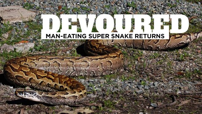 Devoured: Man-Eating Super Snake Returns on Discovery Plus