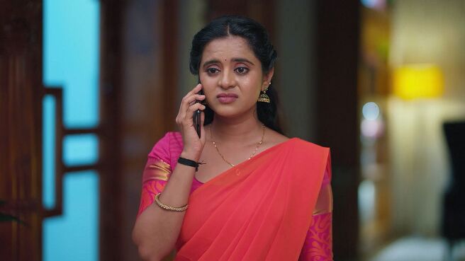 Gowri season 1 episode 17 on Zee5