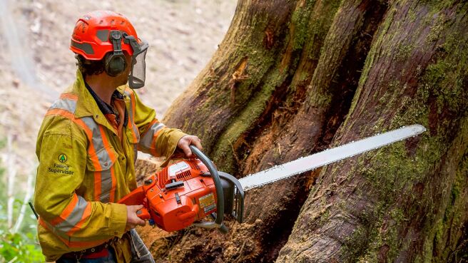 The Last Woodsmen season 1 episode 2 on Discovery Plus