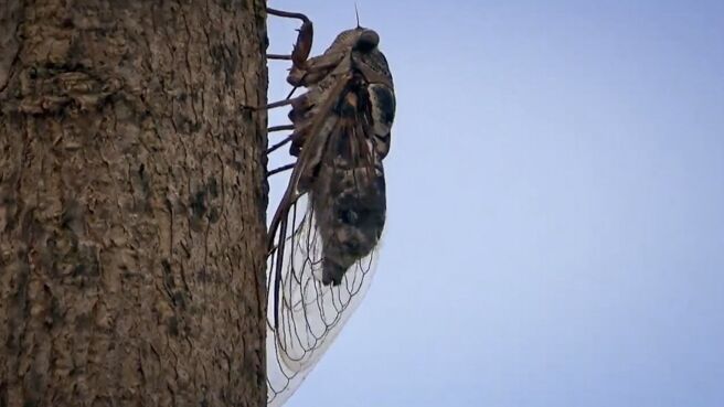 Just Animals season 2 episode 4 on Discovery Plus