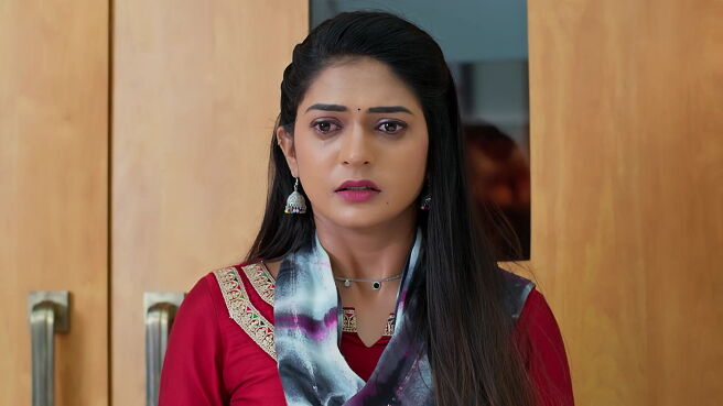 Smart Play - Nindu Noorella Saavasam season 1 episode 21 on Zee5