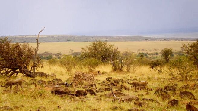 Predator Countdown season 1 episode 1 on Discovery Plus