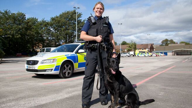 Dog Detectives season 1 episode 9 on Discovery Plus
