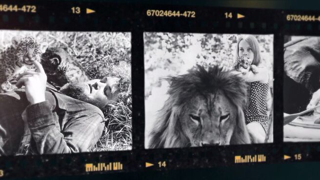 Roar: The Most Dangerous Movie Ever Made season 1 episode 1 on Discovery Plus