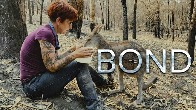 The Bond on Discovery Plus