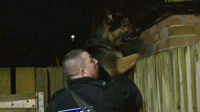 Dog Detectives season 1 episode 2 on Discovery Plus