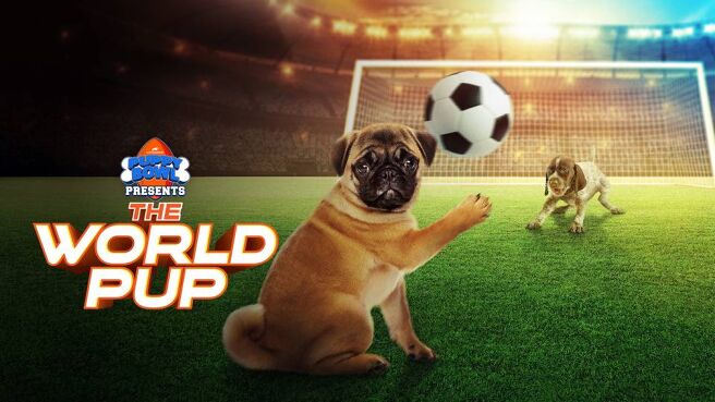 Puppy Bowl Presents: The World Pup on Discovery Plus