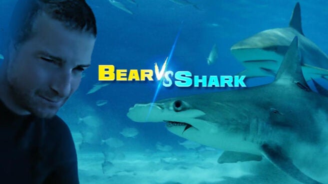 Bear vs Shark on Discovery Plus