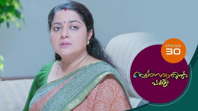 Swargavathil Pakshi season 1 episode 30 on Sun NXT