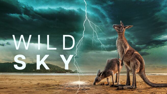 Wild Sky on Discovery Plus