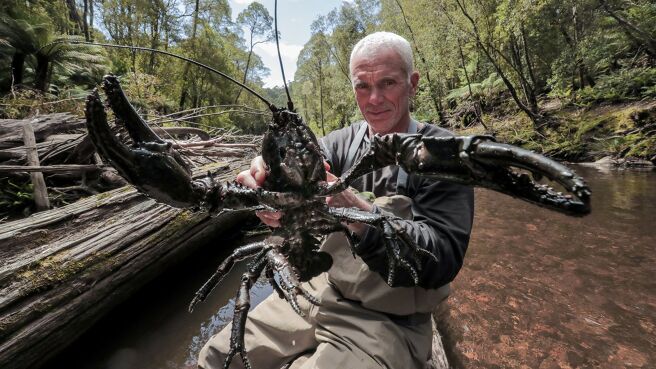 Jeremy Wade's Dark Waters season 1 episode 5 on Discovery Plus