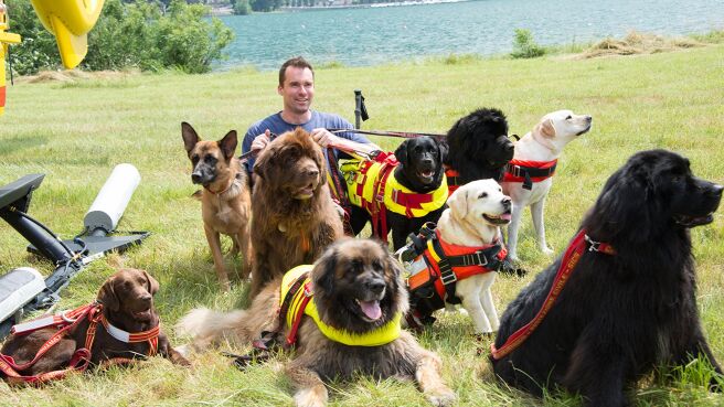 Dogs: The Untold Story season 1 episode 4 on Discovery Plus