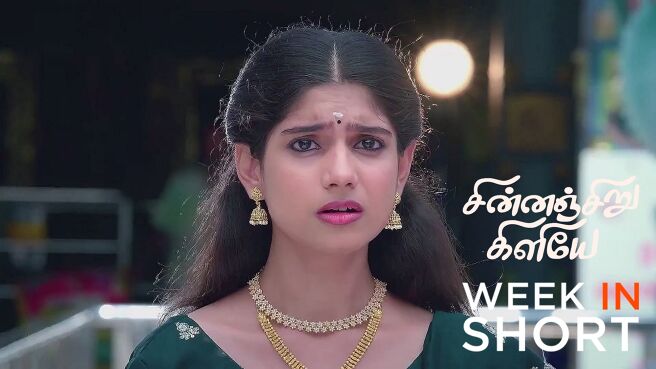 Chinnan Siru Kiliye season 1 episode 20 on Zee5