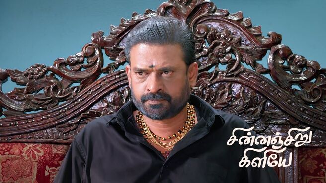 Chinnan Siru Kiliye season 1 episode 10 on Zee5