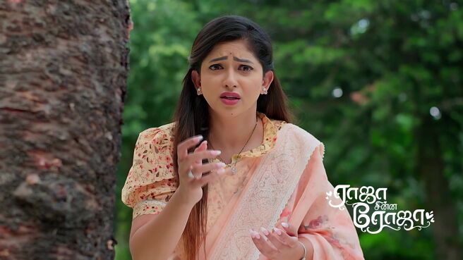 Raja Chinna Roja season 1 episode 19 on Zee5