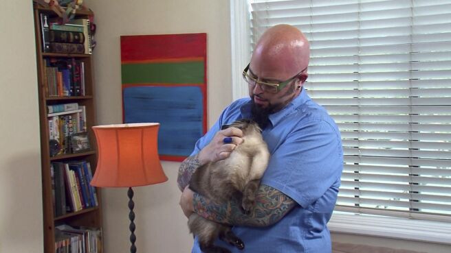 My Cat From Hell season 1 episode 1 on Discovery Plus